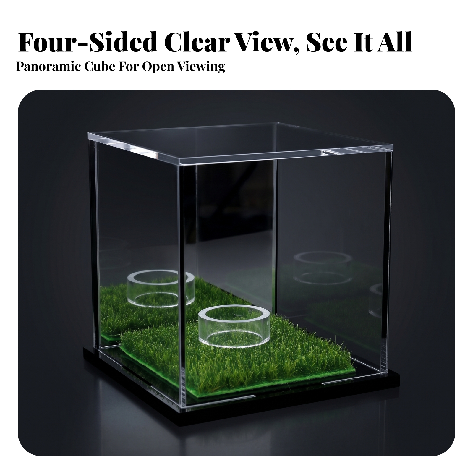 Display Case Acrylic - Acrylic Display Case Easy to Clean