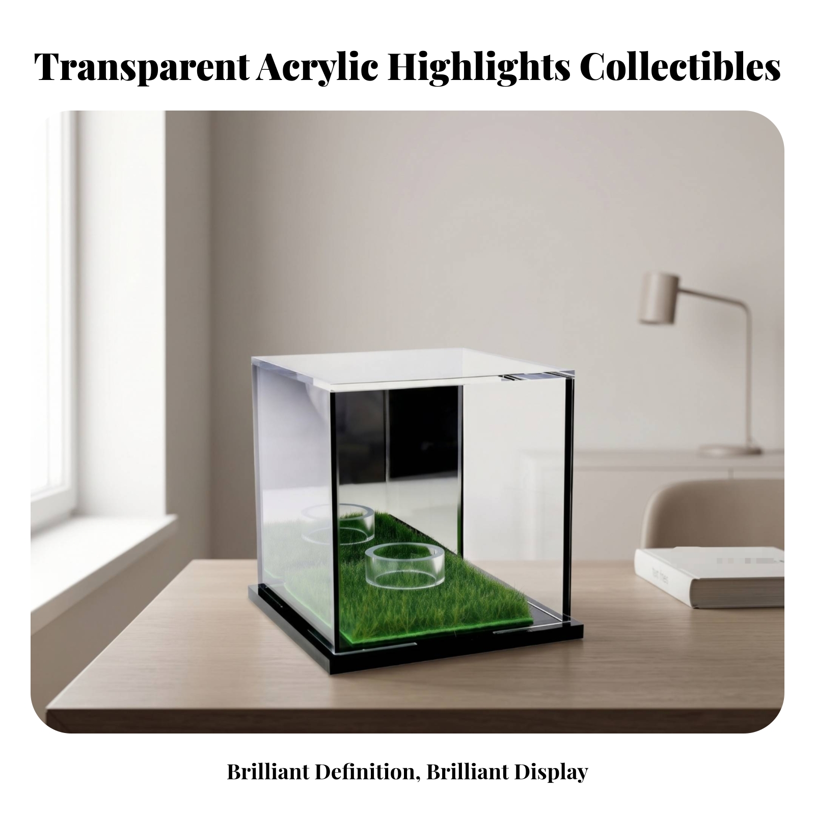 Acrylic Display Case Easy to C - đánh giá và giá Display Case Acrylic