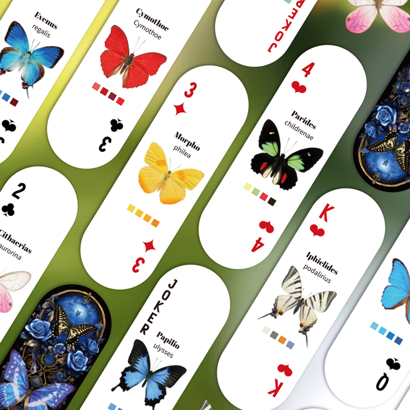 Mr.Paper Table Card Game 54/Bo - đánh giá và giá Graded Card Display